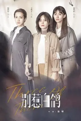 《别惹白鸽》：当街头霸王遇上治愈系，一场意想不到的温柔碰撞，笑泪齐飞！