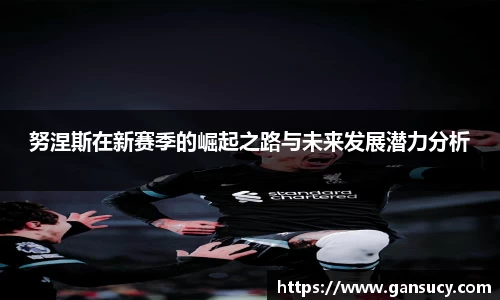 努涅斯在新赛季的崛起之路与未来发展潜力分析